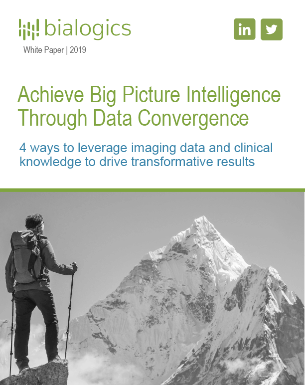 Big Picture Intelligence Through Data Convergence